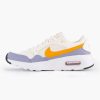 Nike Grauer Air Max Sc